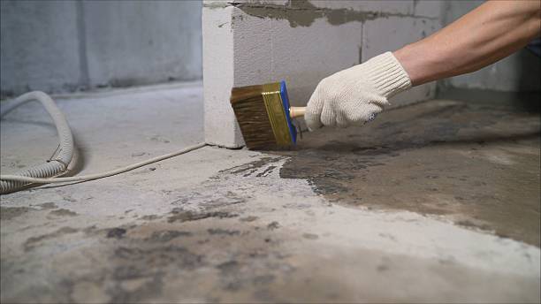 24/7 Emergency Crawl Space Encapsulation experts in Randolph, NJ
